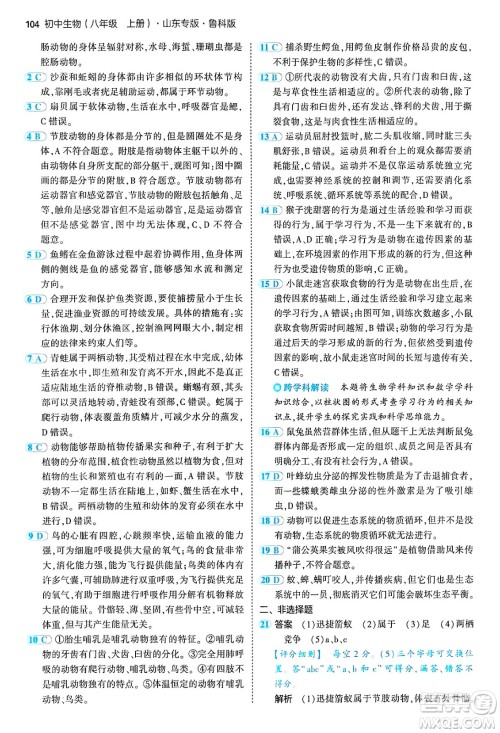 首都师范大学出版社2024年秋初中同步5年中考3年模拟八年级生物上册鲁科版山东专版答案