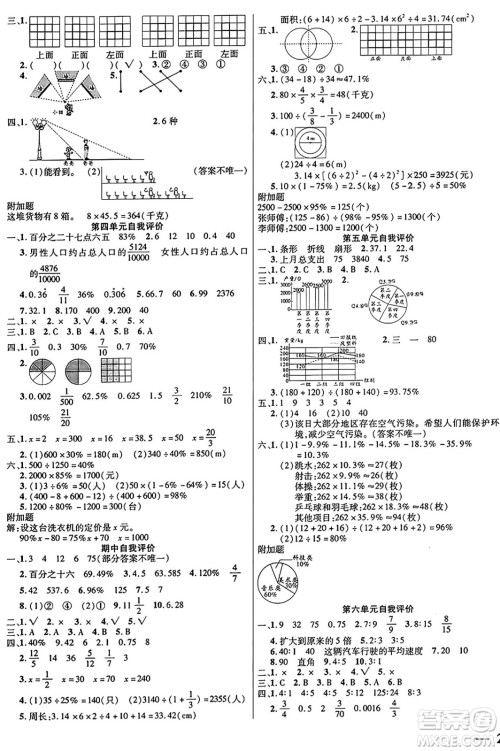 阳光出版社2024年秋扬帆文化激活思维智能训练六年级数学上册北师大版答案