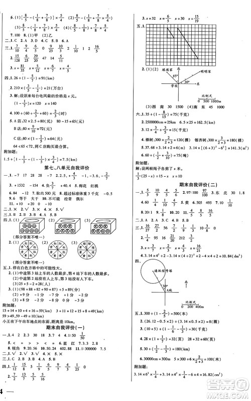 阳光出版社2024年秋扬帆文化激活思维智能训练六年级数学上册西师版答案