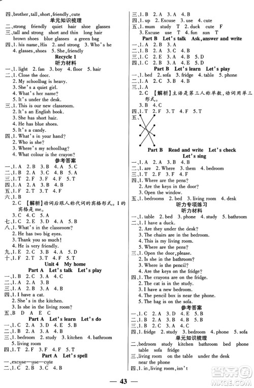 阳光出版社2024年秋扬帆文化激活思维智能训练四年级英语上册人教版答案
