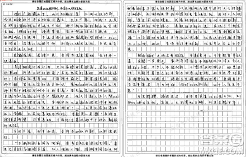 一个空水桶要想不被风吹倒就要注满水材料作文800字