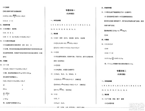 四川教育出版社2024年秋课堂伴侣学情点评九年级化学上册人教版答案