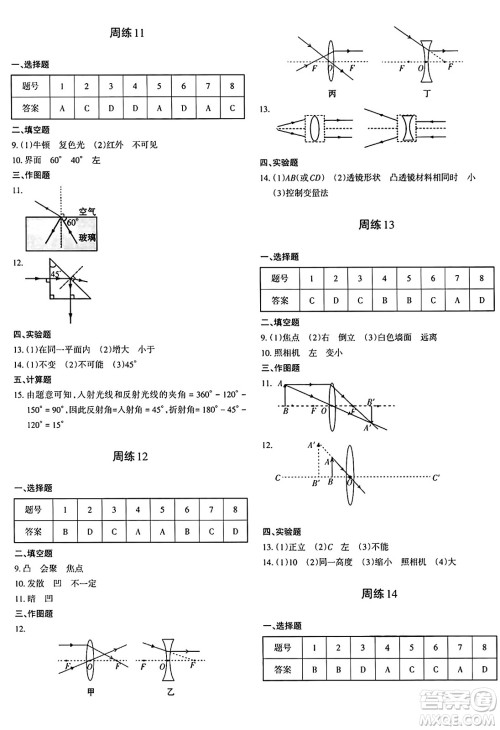 新疆青少年出版社2024年秋优学1+1评价与测试八年级物理上册通用版答案