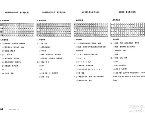 新疆青少年出版社2024年秋优学1+1评价与测试八年级生物上册通用版答案