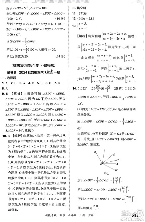 江西人民出版社2024年秋王朝霞各地期末试卷精选七年级数学上册沪科版安徽专版答案