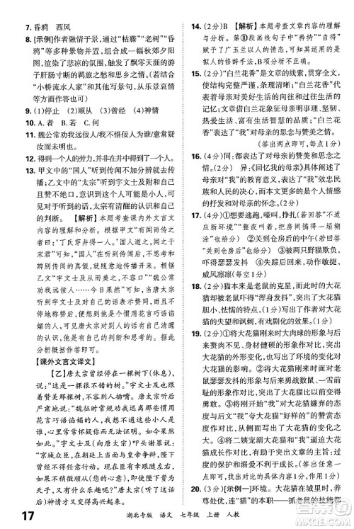 江西人民出版社2024年秋王朝霞各地期末试卷精选七年级语文上册人教版湖北专版答案