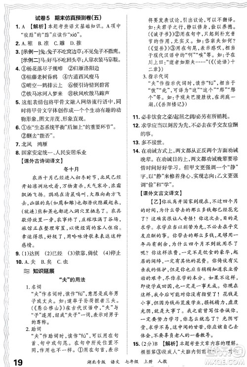 江西人民出版社2024年秋王朝霞各地期末试卷精选七年级语文上册人教版湖北专版答案