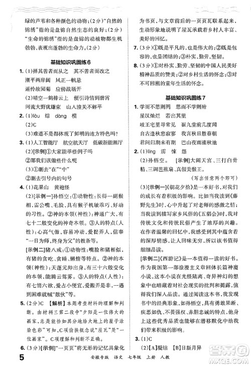 江西人民出版社2024年秋王朝霞各地期末试卷精选七年级语文上册人教版安徽专版答案