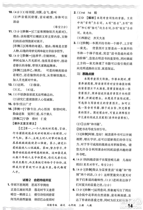 江西人民出版社2024年秋王朝霞各地期末试卷精选七年级语文上册人教版安徽专版答案