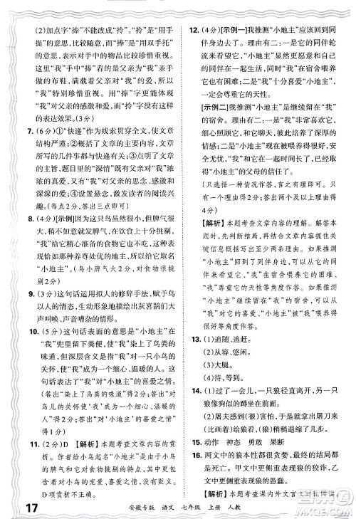 江西人民出版社2024年秋王朝霞各地期末试卷精选七年级语文上册人教版安徽专版答案