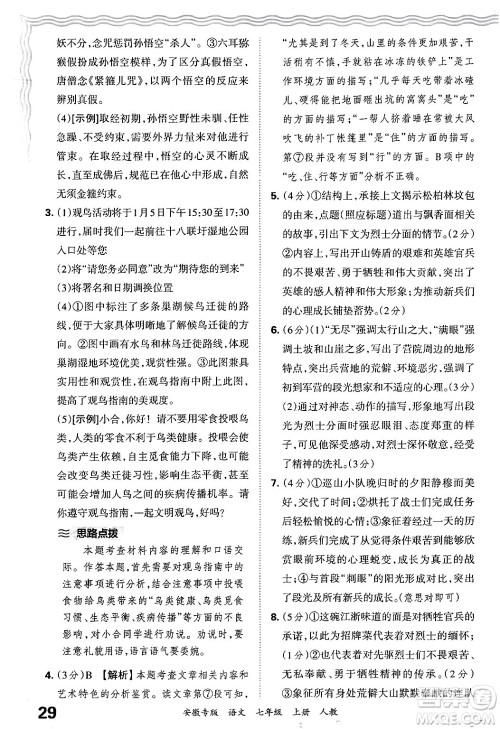 江西人民出版社2024年秋王朝霞各地期末试卷精选七年级语文上册人教版安徽专版答案