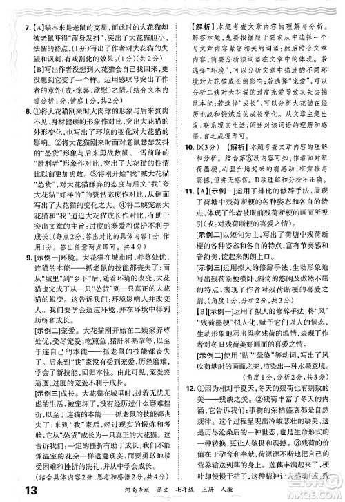 江西人民出版社2024年秋王朝霞各地期末试卷精选七年级语文上册人教版河南专版答案