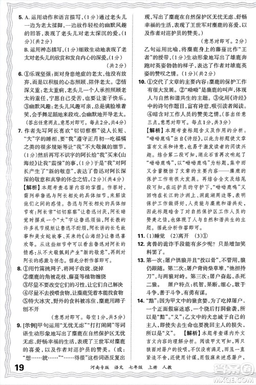 江西人民出版社2024年秋王朝霞各地期末试卷精选七年级语文上册人教版河南专版答案