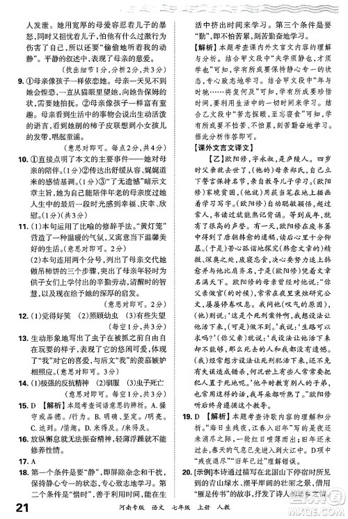 江西人民出版社2024年秋王朝霞各地期末试卷精选七年级语文上册人教版河南专版答案