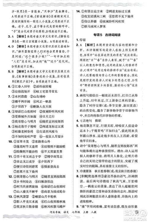 江西人民出版社2024年秋王朝霞各地期末试卷精选七年级语文上册人教版河北专版答案