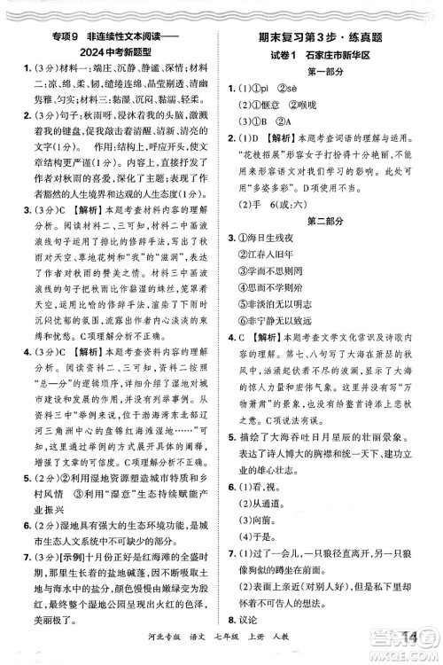 江西人民出版社2024年秋王朝霞各地期末试卷精选七年级语文上册人教版河北专版答案