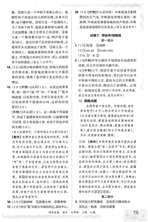 江西人民出版社2024年秋王朝霞各地期末试卷精选七年级语文上册人教版河北专版答案