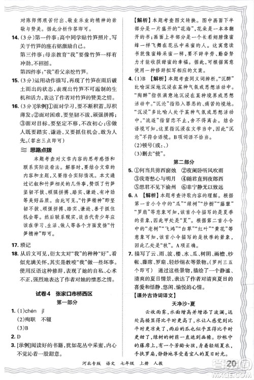 江西人民出版社2024年秋王朝霞各地期末试卷精选七年级语文上册人教版河北专版答案