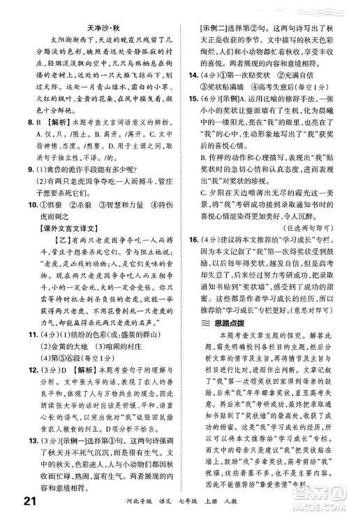 江西人民出版社2024年秋王朝霞各地期末试卷精选七年级语文上册人教版河北专版答案