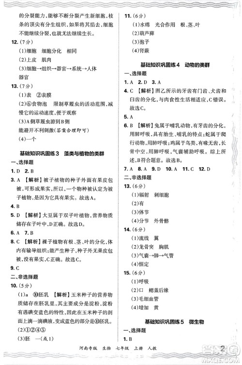 江西人民出版社2024年秋王朝霞各地期末试卷精选七年级生物上册人教版河南专版答案