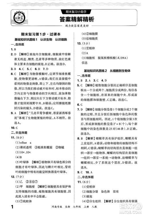 江西人民出版社2024年秋王朝霞各地期末试卷精选七年级生物上册人教版河南专版答案