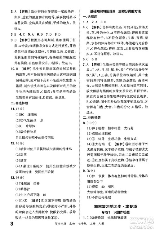 江西人民出版社2024年秋王朝霞各地期末试卷精选七年级生物上册人教版河南专版答案