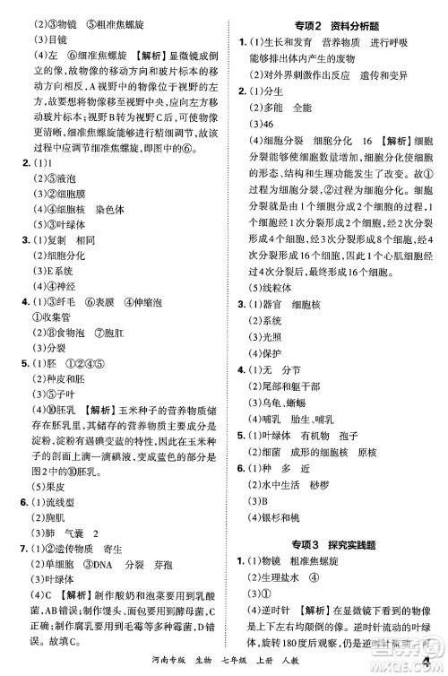 江西人民出版社2024年秋王朝霞各地期末试卷精选七年级生物上册人教版河南专版答案