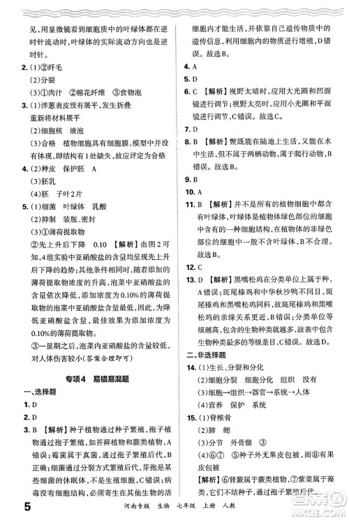 江西人民出版社2024年秋王朝霞各地期末试卷精选七年级生物上册人教版河南专版答案