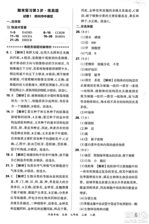 江西人民出版社2024年秋王朝霞各地期末试卷精选七年级生物上册人教版河南专版答案