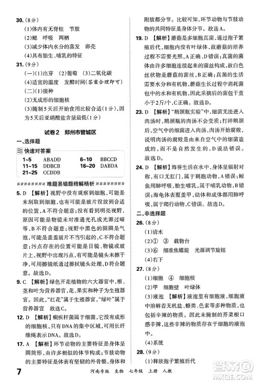 江西人民出版社2024年秋王朝霞各地期末试卷精选七年级生物上册人教版河南专版答案