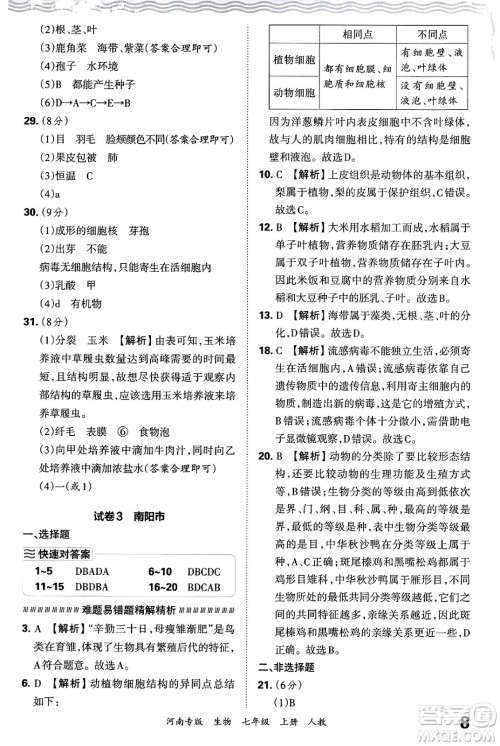 江西人民出版社2024年秋王朝霞各地期末试卷精选七年级生物上册人教版河南专版答案