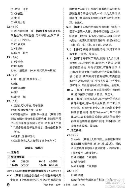 江西人民出版社2024年秋王朝霞各地期末试卷精选七年级生物上册人教版河南专版答案