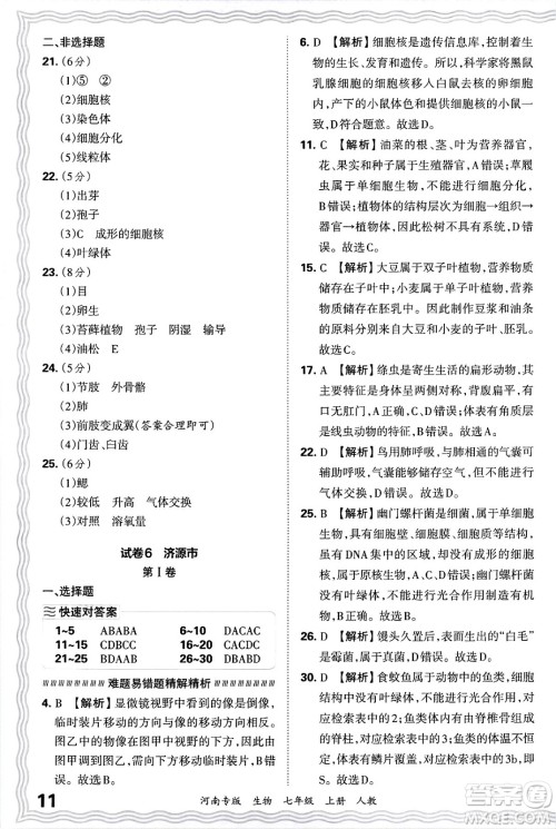 江西人民出版社2024年秋王朝霞各地期末试卷精选七年级生物上册人教版河南专版答案