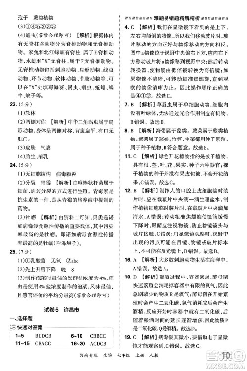 江西人民出版社2024年秋王朝霞各地期末试卷精选七年级生物上册人教版河南专版答案