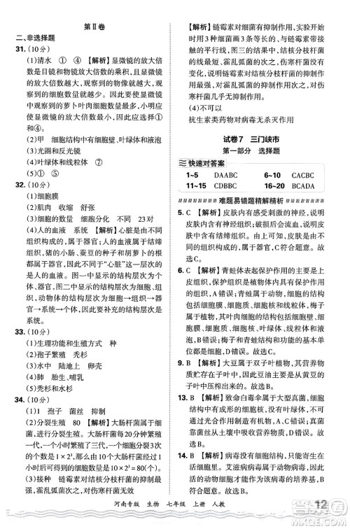 江西人民出版社2024年秋王朝霞各地期末试卷精选七年级生物上册人教版河南专版答案