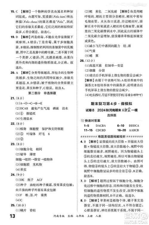 江西人民出版社2024年秋王朝霞各地期末试卷精选七年级生物上册人教版河南专版答案