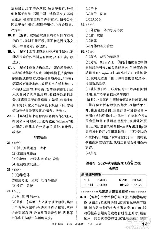 江西人民出版社2024年秋王朝霞各地期末试卷精选七年级生物上册人教版河南专版答案