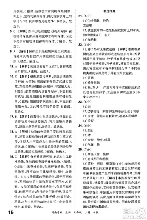 江西人民出版社2024年秋王朝霞各地期末试卷精选七年级生物上册人教版河南专版答案