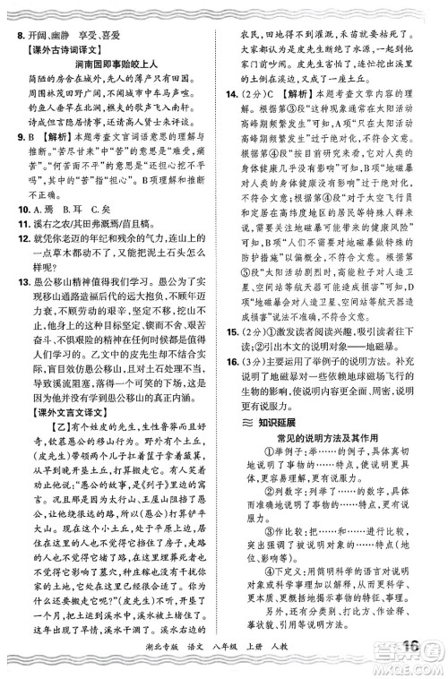 江西人民出版社2024年秋王朝霞各地期末试卷精选八年级语文上册人教版湖北专版答案 江西人民出版社2024年秋王朝霞各地期末试卷精选八年级语文上册人教版湖北专版答案
