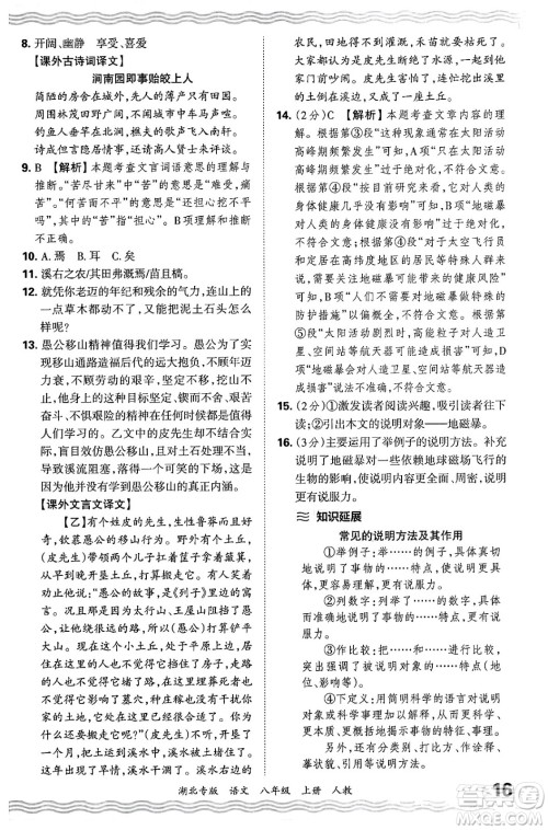 江西人民出版社2024年秋王朝霞各地期末试卷精选八年级语文上册人教版湖北专版答案