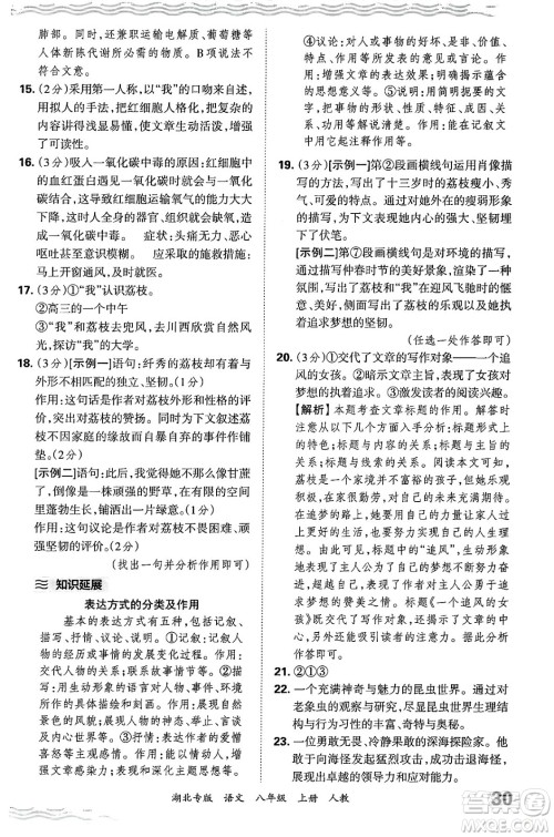江西人民出版社2024年秋王朝霞各地期末试卷精选八年级语文上册人教版湖北专版答案 江西人民出版社2024年秋王朝霞各地期末试卷精选八年级语文上册人教版湖北专版答案