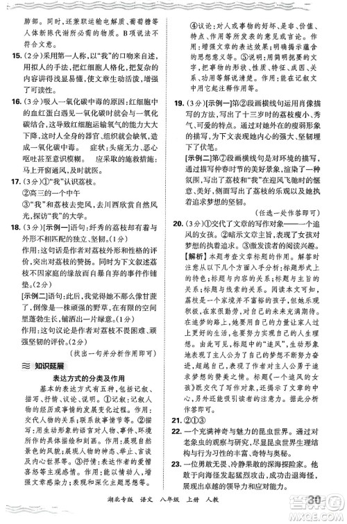 江西人民出版社2024年秋王朝霞各地期末试卷精选八年级语文上册人教版湖北专版答案