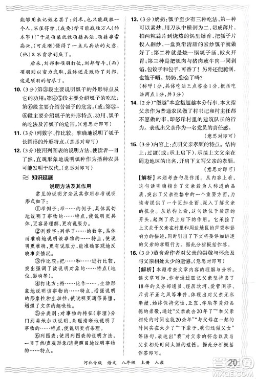 江西人民出版社2024年秋王朝霞各地期末试卷精选八年级语文上册人教版河北专版答案