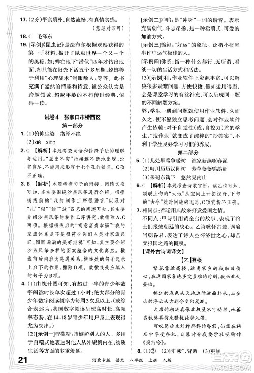 江西人民出版社2024年秋王朝霞各地期末试卷精选八年级语文上册人教版河北专版答案