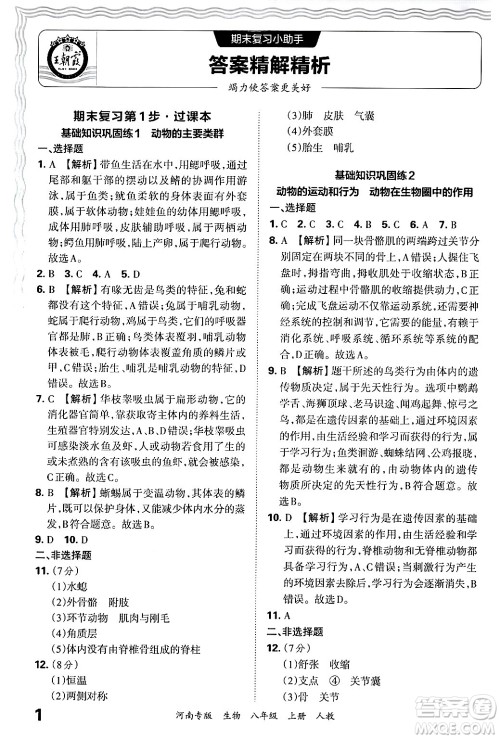 江西人民出版社2024年秋王朝霞各地期末试卷精选八年级生物上册人教版河南专版答案