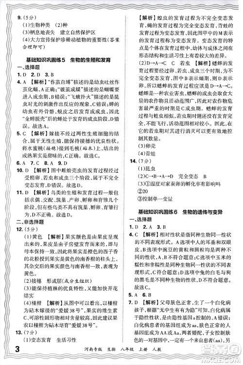 江西人民出版社2024年秋王朝霞各地期末试卷精选八年级生物上册人教版河南专版答案