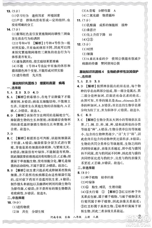 江西人民出版社2024年秋王朝霞各地期末试卷精选八年级生物上册人教版河南专版答案