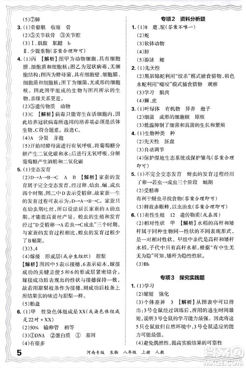 江西人民出版社2024年秋王朝霞各地期末试卷精选八年级生物上册人教版河南专版答案