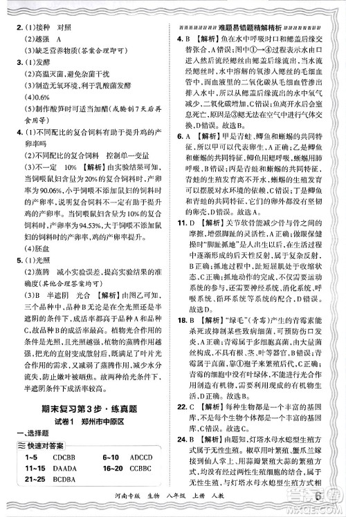 江西人民出版社2024年秋王朝霞各地期末试卷精选八年级生物上册人教版河南专版答案