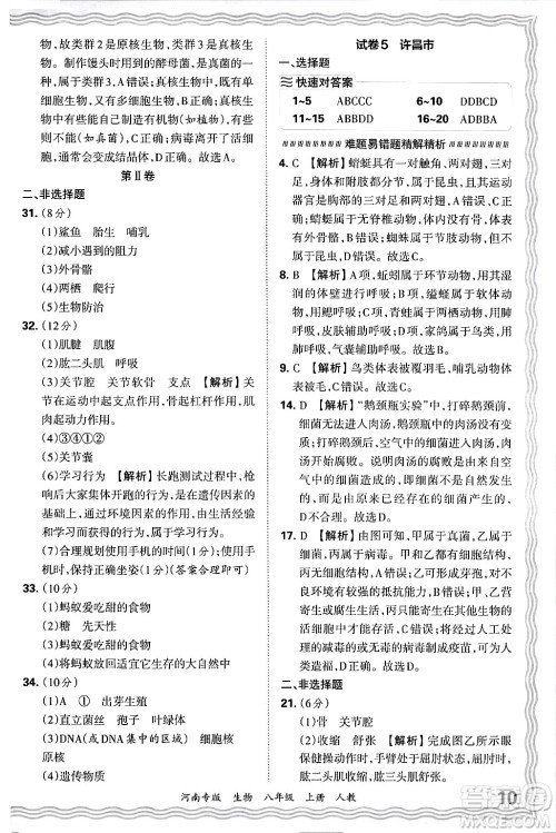 江西人民出版社2024年秋王朝霞各地期末试卷精选八年级生物上册人教版河南专版答案